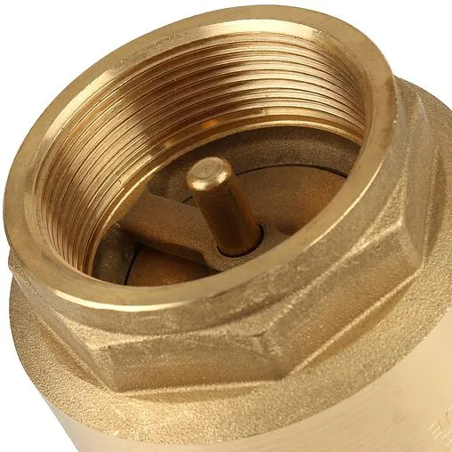 Клапан обратный пружинный 2&quot;в x 2&quot;в Itap Europa 1000200