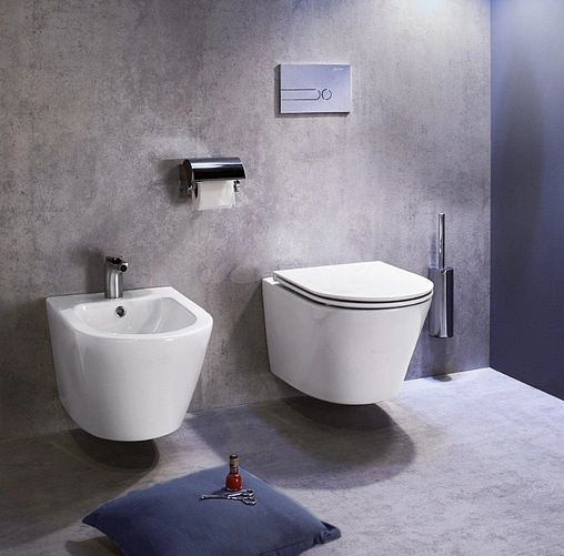 Биде подвесное Jacob Delafon Rodin+ белый EMJ0002-00