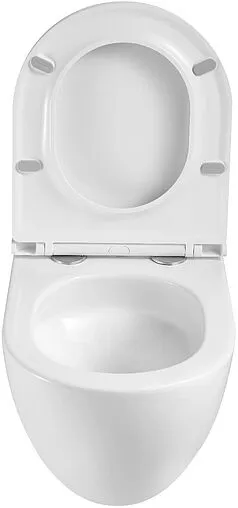 Унитаз подвесной безободковый Terminus Аврора Monolit Tornado белый 01WM49x36W