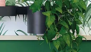 Стакан для зубных щеток Hansgrohe WallStoris чёрный матовый 27921670, 4