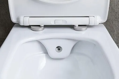 Унитаз подвесной безободковый с функцией биде и встроенным смесителем Allen Brau Liberty белый 4.33009.20