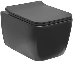 Унитаз подвесной безободковый Allen Brau Liberty антрацит 4.33007.AN, 1