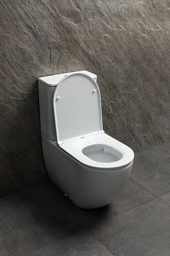 Унитаз-компакт безободковый Allen Brau Priority Tornado белый 4.31006.20+4.31007.20