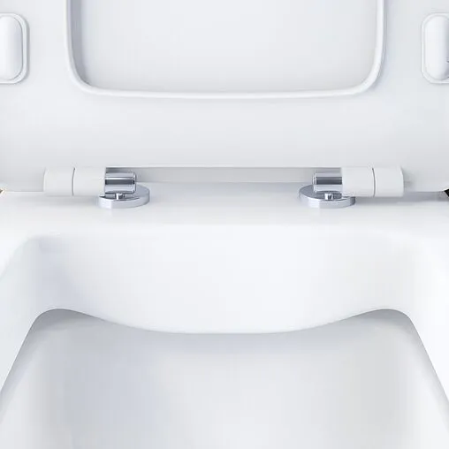 Унитаз-компакт безободковый Damixa Titan белый DX78C8600SC Унитаз-компакт безободковый Damixa Titan белый DX78C8600SC