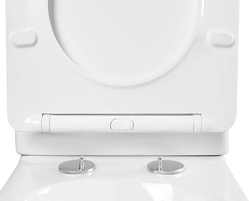 Унитаз приставной безободковый Aquatek Амадео белый AQ1964-00