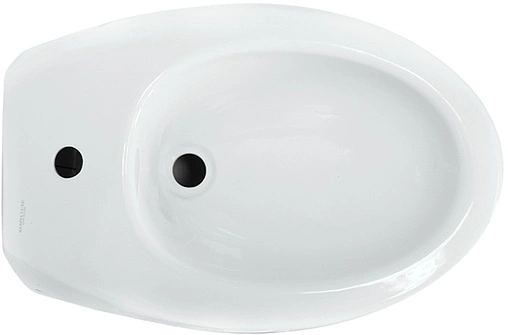 Биде подвесное Sanita Luxe Ringo белый BD.WH/Ringo/C/WHT.G/S1