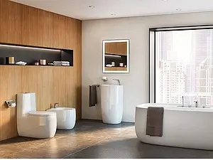 Биде напольное Roca Beyond белый 3570B8000, 4