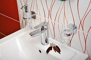 Смеситель для раковины Rav Slezak Zambezi хром ZA026.5 Смеситель для раковины Rav Slezak Zambezi хром ZA026.5, 3