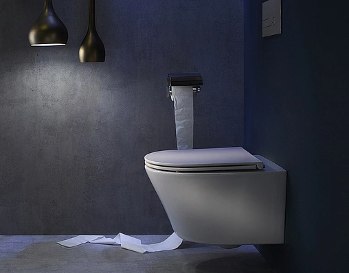 Унитаз подвесной безободковый Jacob Delafon Rodin+ Rimless белый EDY102-00