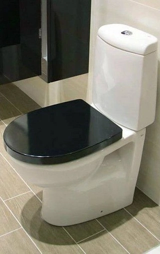 Крышка-сиденье для унитаза с микролифтом Roca Victoria Nord Black Edition черный ZRU9302627