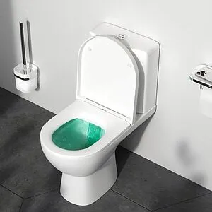 Унитаз-компакт безободковый Am.Pm Sunny FlashClean белый C85C8600SC Унитаз-компакт безободковый Am.Pm Sunny FlashClean белый C85C8600SC, 4