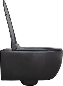 Унитаз подвесной безободковый Allen Brau Priority антрацит 4.31001.AN, 3
