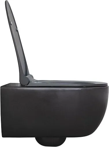 Унитаз подвесной безободковый Allen Brau Priority антрацит 4.31001.AN