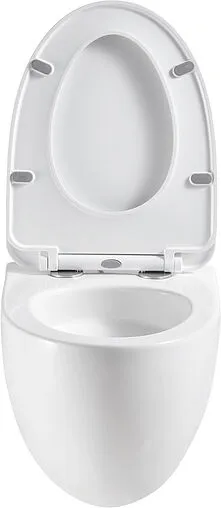 Унитаз подвесной безободковый Terminus Енисей Monolit Tornado белый 05W56х39W