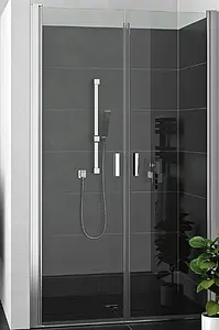 Дверь в нишу 1100мм прозрачное стекло Roltechnik Lega Lift Line LZCN2/1100 230-1100000-00-02, 1