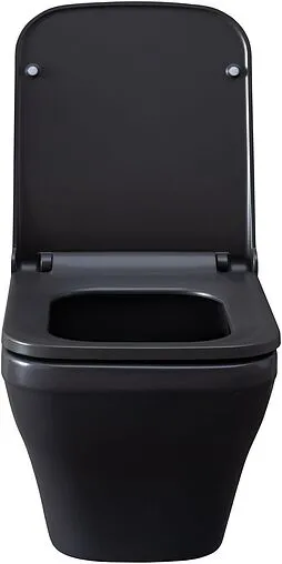 Унитаз подвесной безободковый Allen Brau Infinity антрацит 4.21011.AN