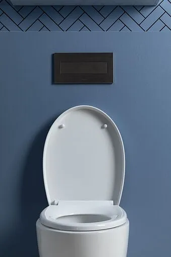 Унитаз подвесной безободковый Aquanet Zvezda Rimless белый ZV-1 Унитаз подвесной безободковый Aquanet Zvezda Rimless белый ZV-1