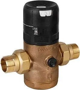 Редуктор давления мембранный 2&quot; Goetze G06F-2H (SP) GTZARM022, 1