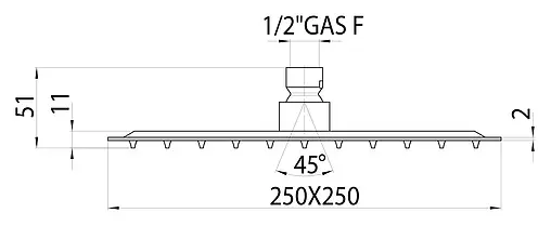 Лейка верхнего душа Bossini Twiggy хром I00584.030