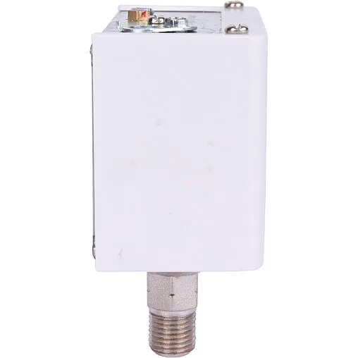 Реле давления Росма РД-2Р модель 35 ¼&quot;н 00000012965