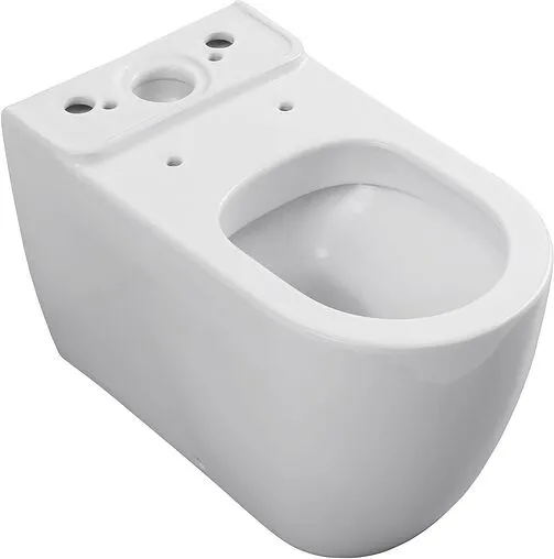 Унитаз-компакт безободковый Allen Brau Priority белый 4.31003.20+4.XX000.20