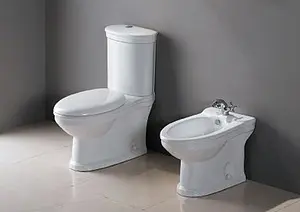 Биде напольное Cezares Primo белый CZR-621-T Биде напольное Cezares Primo белый CZR-621-T, 5