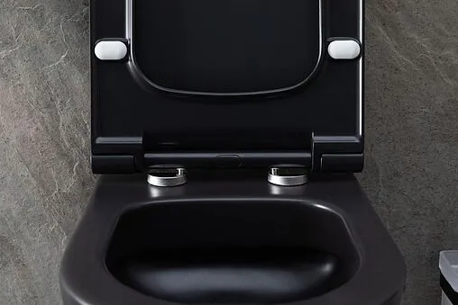 Унитаз подвесной безободковый Allen Brau Priority черный матовый 4.31001.31