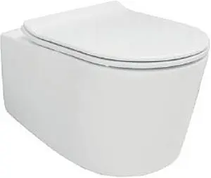 Унитаз подвесной безободковый Creo Ceramique Rennes белый RE1100R+RE1001T Унитаз подвесной безободковый Creo Ceramique Rennes белый RE1100R+RE1001T, 1