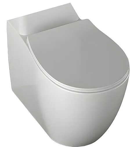 Унитаз-компакт безободковый Allen Brau Fantasy белый 4.11009.20+4.11010.20