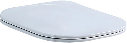 Крышка-сиденье для унитаза с микролифтом BelBagno Genova белый BB1102SC