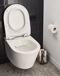 Унитаз подвесной безободковый Jacob Delafon Bastille Rimless белый EDAB102-00 Унитаз подвесной безободковый Jacob Delafon Bastille Rimless белый EDAB102-00, 4