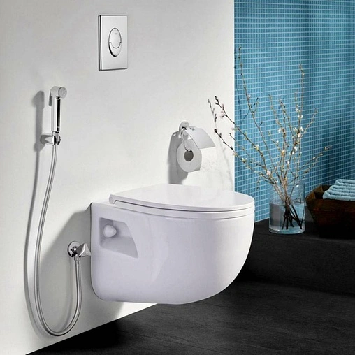 Гигиенический душ Grohe Tempesta-F хром 27512001