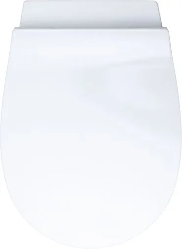 Унитаз подвесной безободковый с функцией биде и встроенным смесителем Allen Brau Fantasy белый 4.11HC1.20