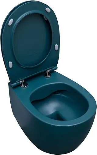 Унитаз подвесной безободковый Allen Brau Fantasy петроль 4.11004.PT