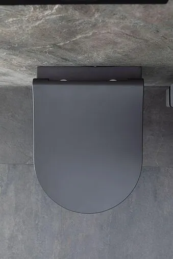 Унитаз подвесной безободковый Allen Brau Priority антрацит 4.31002.AN