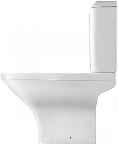 Унитаз-компакт безободковый Santek Лайн rimless белый 1WH501573