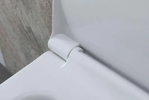 Унитаз подвесной безободковый Allen Brau Priority белый 4.31002.20