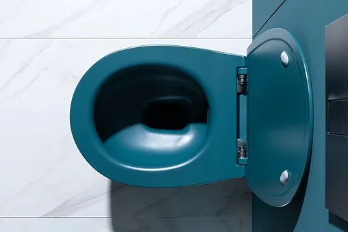 Унитаз подвесной безободковый Allen Brau Fantasy петроль 4.11004.PT