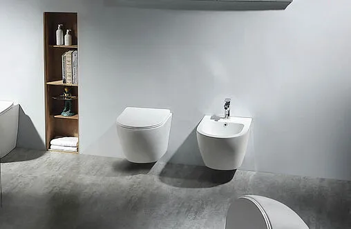 Биде подвесное Aquatek Европа белый матовый AQ1016-MW