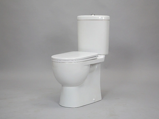 Унитаз-компакт Sanita Luxe Art Comfort белый WC.CC/Art/2-DM/WHT.G/S1