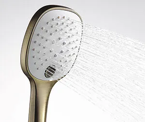 Лейка ручного душа Wasserkraft бронза A050 Лейка ручного душа Wasserkraft бронза A050, 3