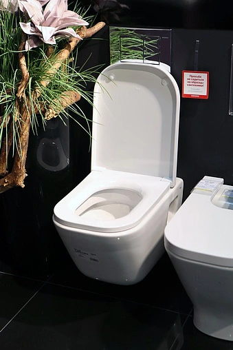 Унитаз подвесной Roca Gap белый 346477000