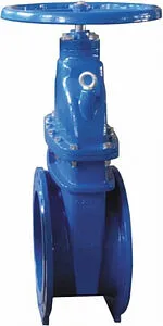 Задвижка с обрезиненным клином фланцевая Ду125 Ру16 Giacomini R55FLY012 Задвижка с обрезиненным клином фланцевая Ду125 Ру16 Giacomini R55FLY012, 1