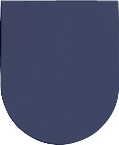 Крышка-сиденье для унитаза с микролифтом ISVEA F50 синий матовый 40KF0544I-S