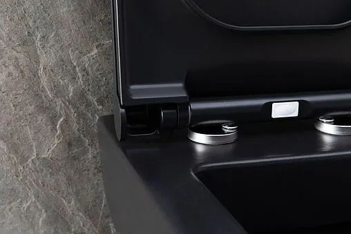 Унитаз подвесной безободковый Allen Brau Infinity черный матовый 4.21011.31