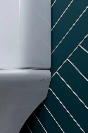 Унитаз-компакт безободковый Aquanet Roll 2-C Rimless белый Roll 2-C+Roll 2-C-1 Унитаз-компакт безободковый Aquanet Roll 2-C Rimless белый Roll 2-C+Roll 2-C-1