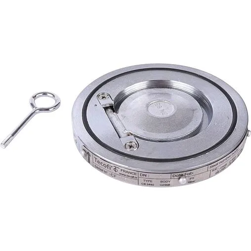 Клапан обратный поворотный одностворчатый межфланцевый Ду65 Ру16 Tecofi CB5440-0065