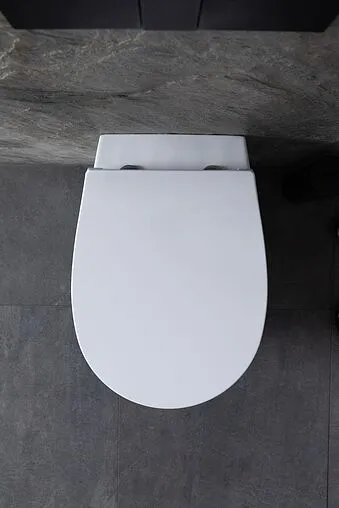 Унитаз приставной безободковый Allen Brau Fantasy белый 4.11007.20