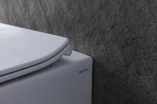 Унитаз приставной безободковый Allen Brau Fantasy белый 4.11007.20