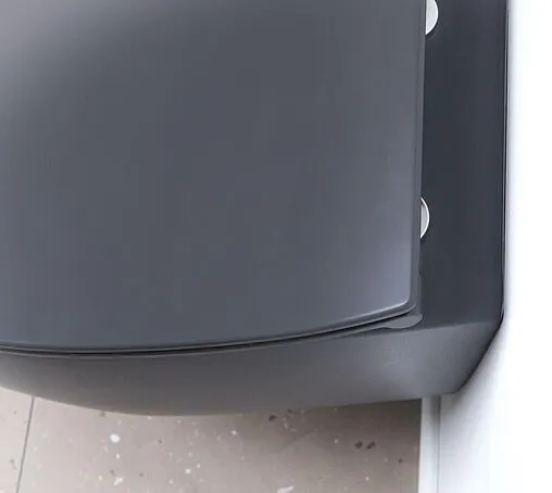 Унитаз подвесной безободковый Allen Brau Fantasy антрацит 4.11004.AN